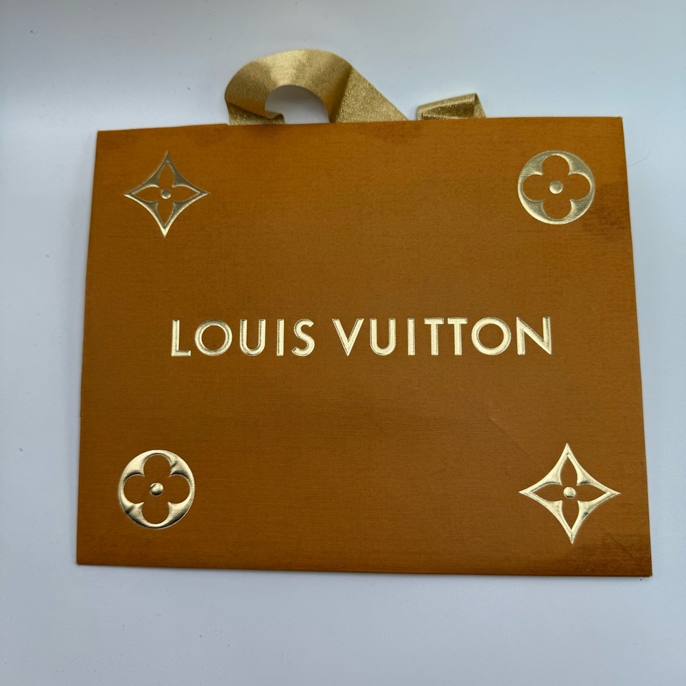 Small & Medium Louis Vuitton Paper Bag (2)